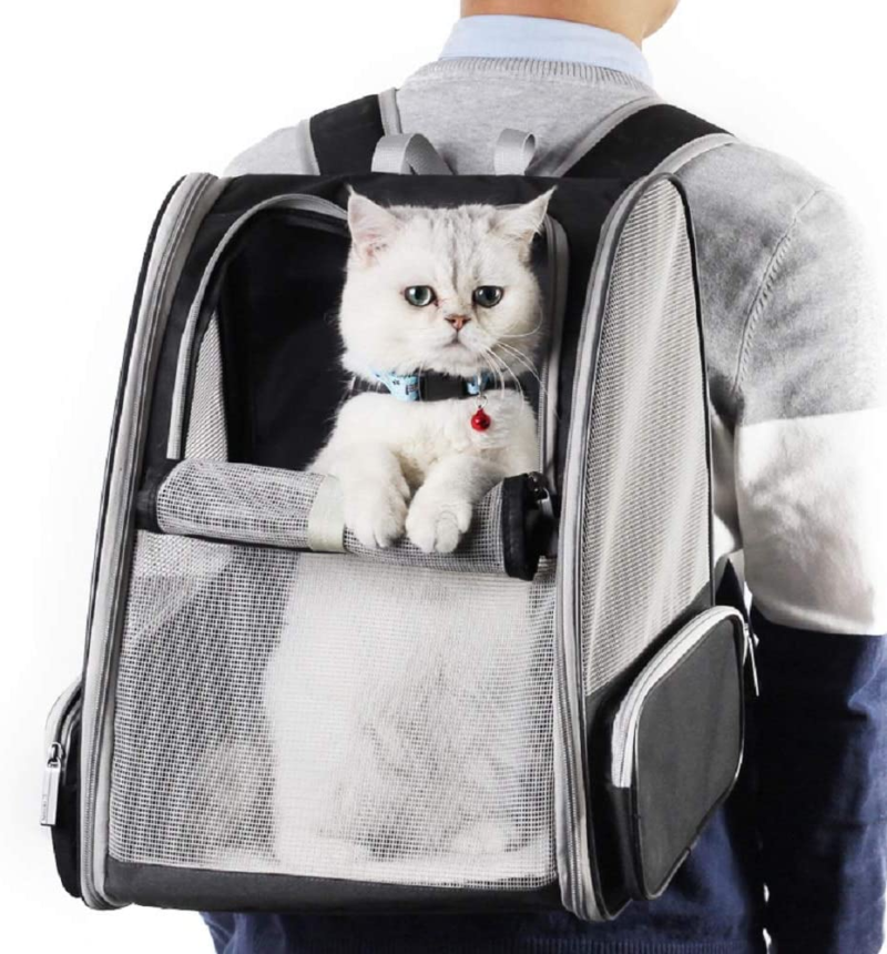 Innovative Traveler Bubble Backpack Pet Carriers for Cats and Dogs (Black) - Image 5