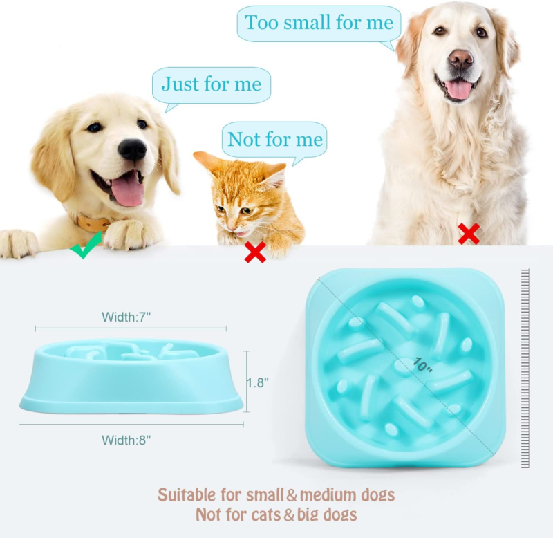 Dog Feeder Slow Eating Pet Bowl Eco-Friendly Non-Toxic Preventing Choking Healthy Design Bowl for Dog Pet Stop Bloat Bowl - Image 3