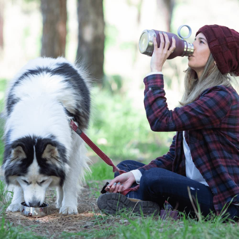 Dog Bowl Attached to Stainless Steel Insulated Travel Bottle for Human 33 Ounce (Burgundy) - Image 7