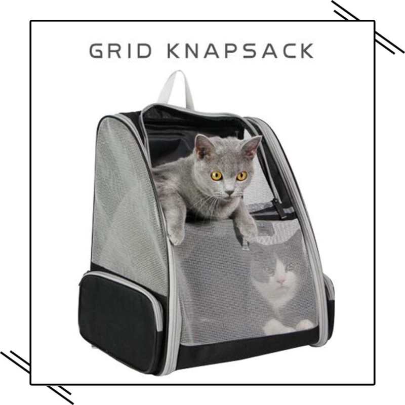 Innovative Traveler Bubble Backpack Pet Carriers for Cats and Dogs (Black) - Image 8